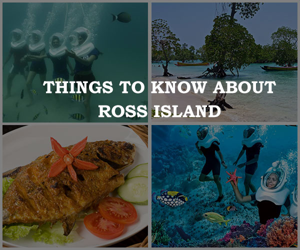 More 11 things to know the Treasure in Books about Ross Island