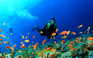 andaman_blog1