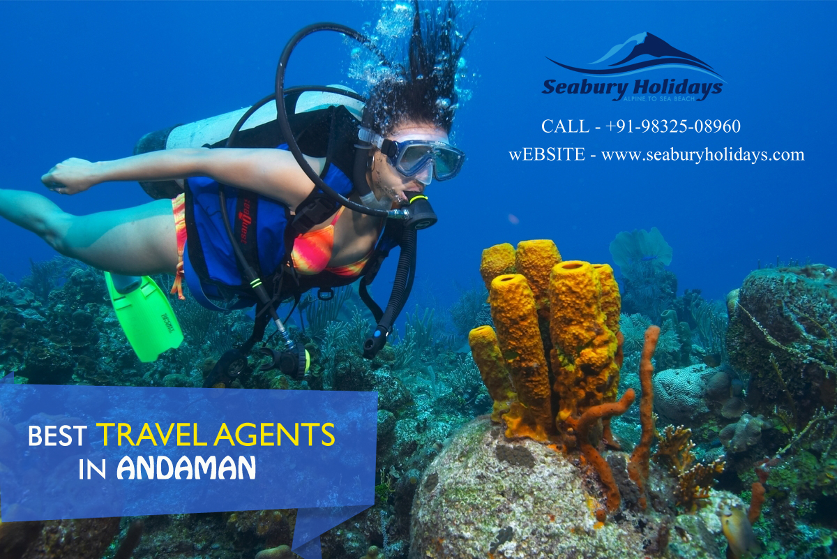 Travel agents in andaman | Best travel agents in andaman | Seabury Holidays