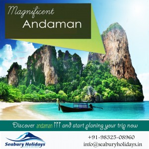 andaman and nicobar honeymoon package
