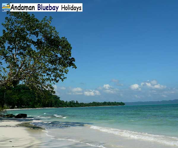 Andaman Bluebay Holidays