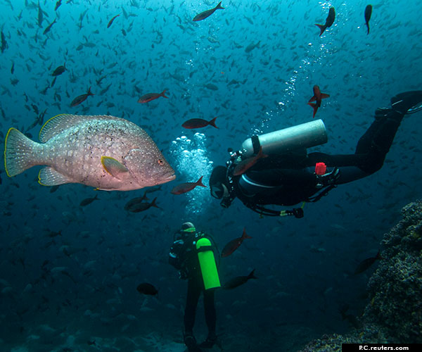 Dive underwater at Cinque Island