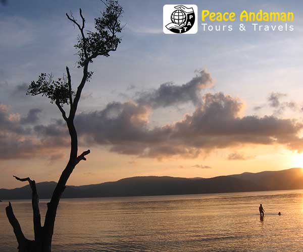 Peace Andaman Tours & Travels