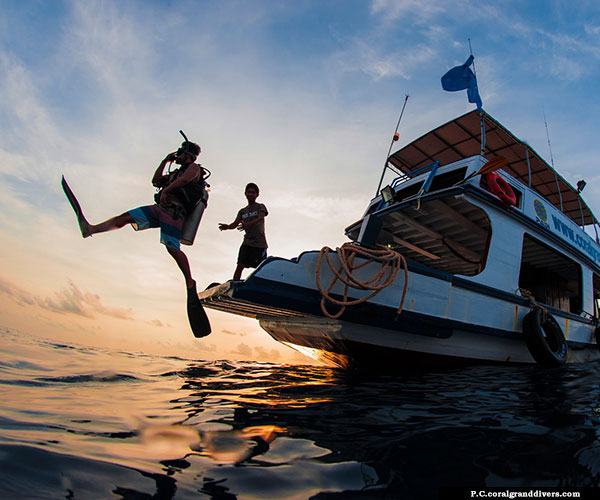 Andaman scuba diving course at all levels has its famous dive sites in the adventures places
