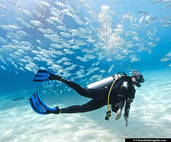 Best time and Season for Scuba Diving
