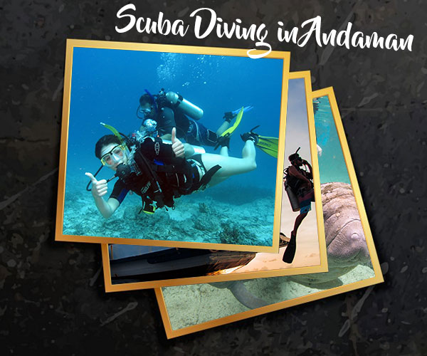 List of All Best Season Specific Places for Scuba Diving in Andaman