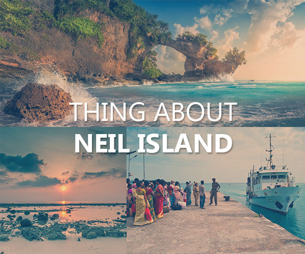 Top 14 Known Things about Neil Island
