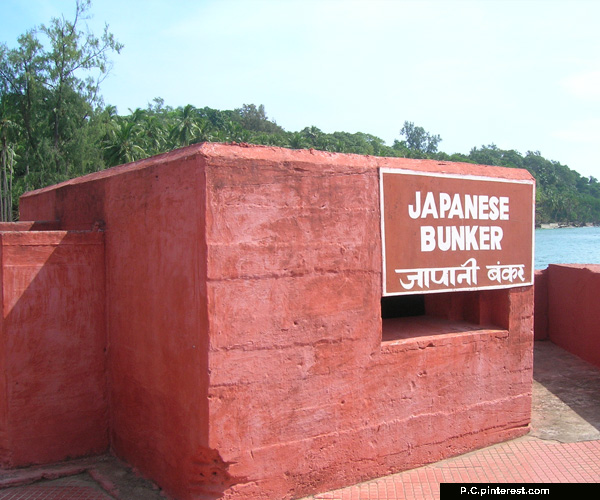 Japanese Bunkers During World War II