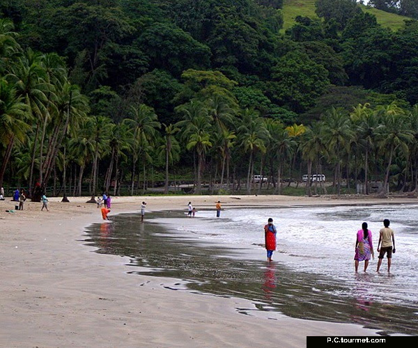 Swimming and Sun Basking: Corbyn’s Cove