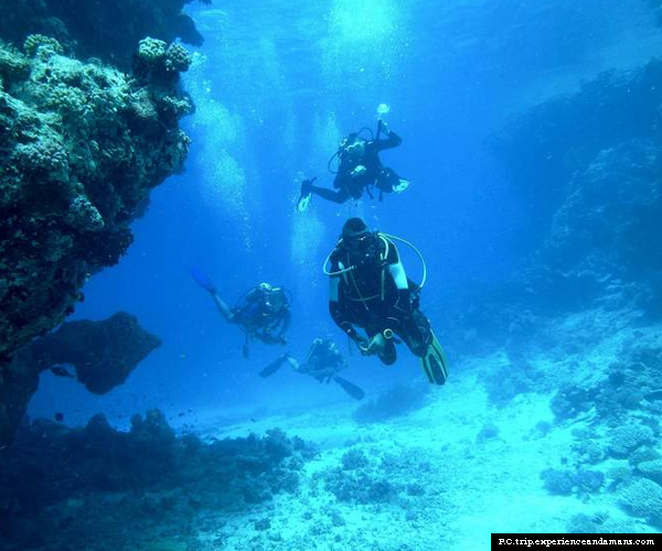 Try Scuba Diving in the crystal clear waters