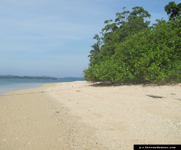 Avis Island Beach