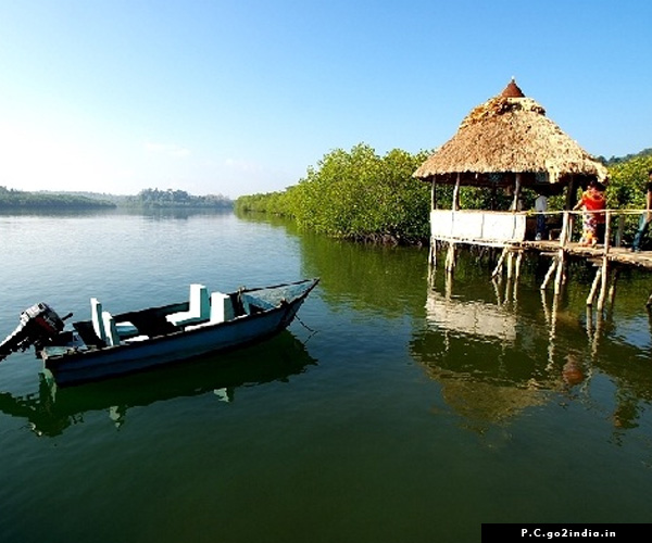 Baratang Island