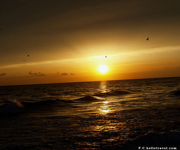 Beach Offers a Captivating Views of Sunset