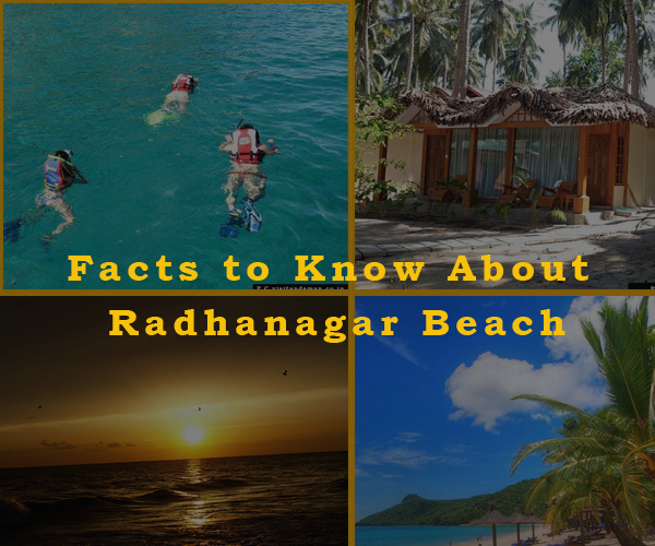 12 Unknown Facts to Know About Radhanagar Beach