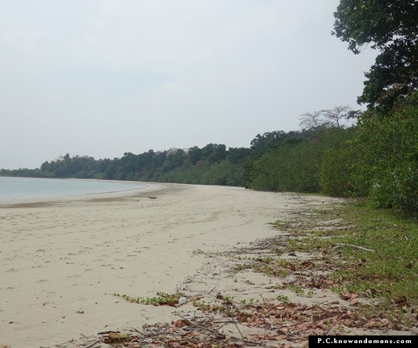 Pathi Level Beach